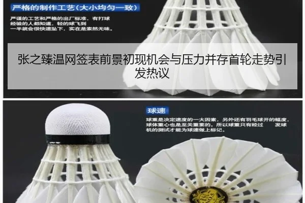 张之臻温网签表前景初现机会与压力并存首轮走势引发热议